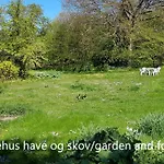 Saenehus Husmandssted *