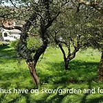 Saenehus Husmandssted 펜션 알링에