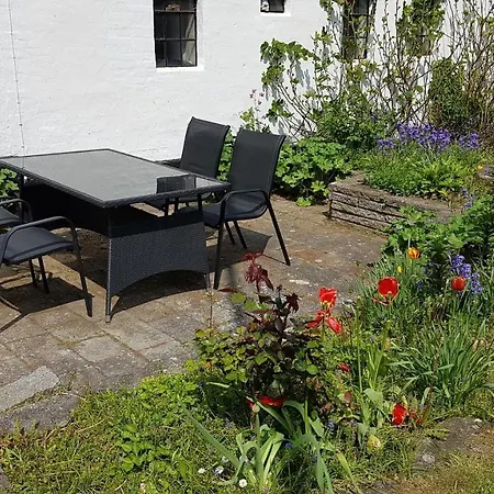 Saenehus Husmandssted *