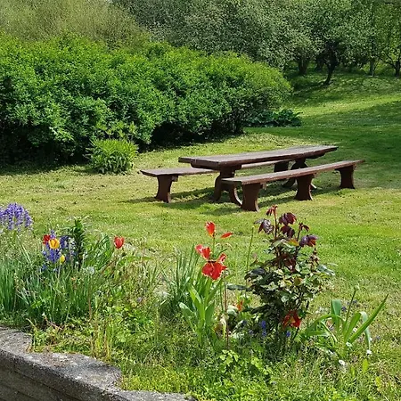 Saenehus Husmandssted * アリンエ