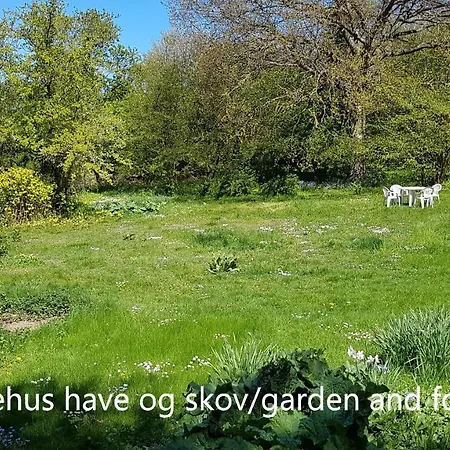 Saenehus Husmandssted *