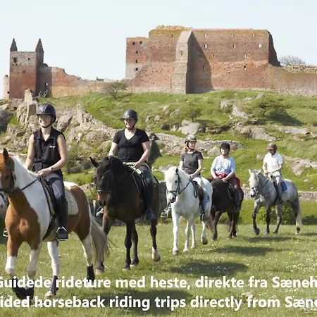 別荘 Saenehus Husmandssted *