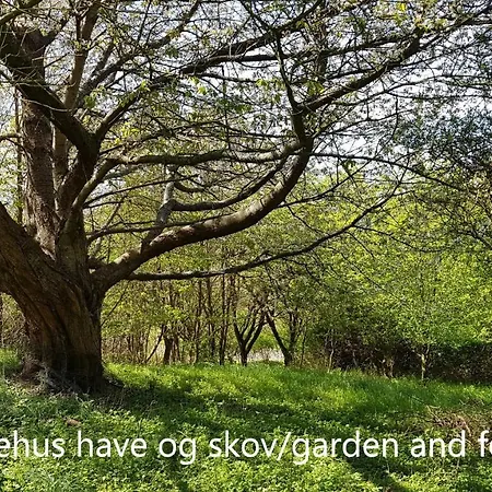 別荘 Saenehus Husmandssted