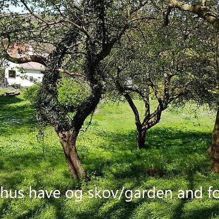 Saenehus Husmandssted Tatil Evi Allinge-Sandvig