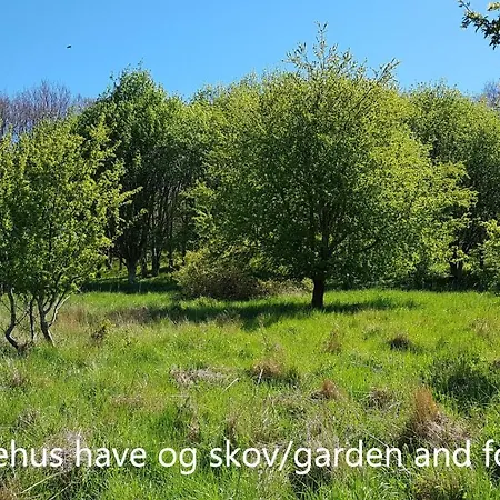 Holiday home Saenehus Husmandssted Allinge-Sandvig