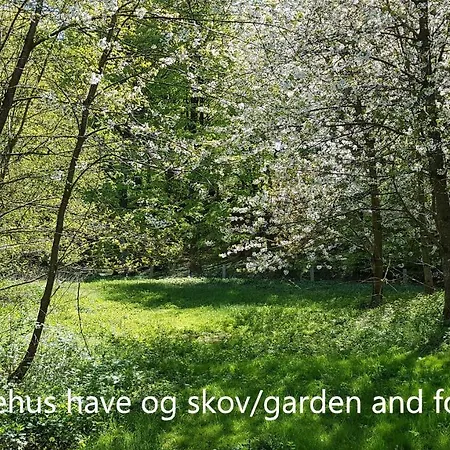 Saenehus Husmandssted 別荘 *