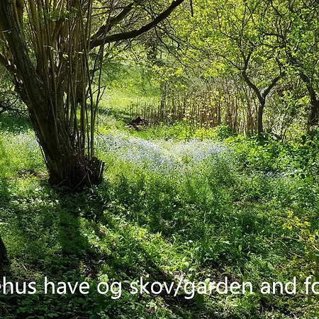 Saenehus Husmandssted Allinge-Sandvig