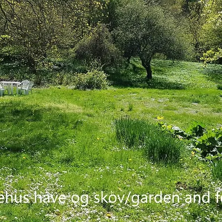 Saenehus Husmandssted * アリンエ