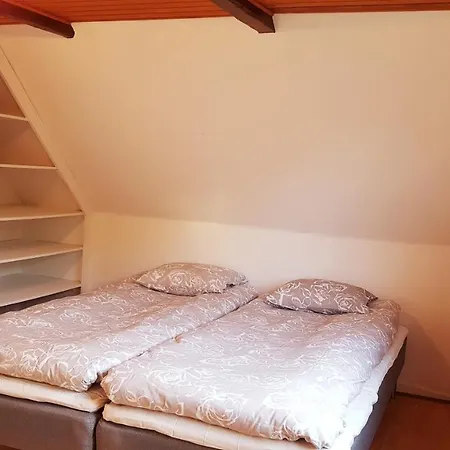 Saenehus Husmandssted