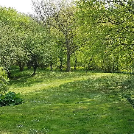 Holiday home Saenehus Husmandssted Allinge-Sandvig