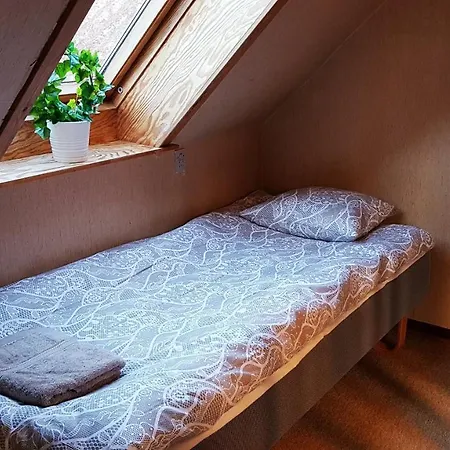 Saenehus Husmandssted 別荘 アリンエ