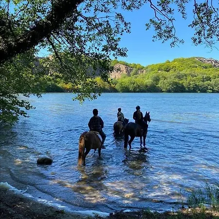 別荘 Saenehus Husmandssted