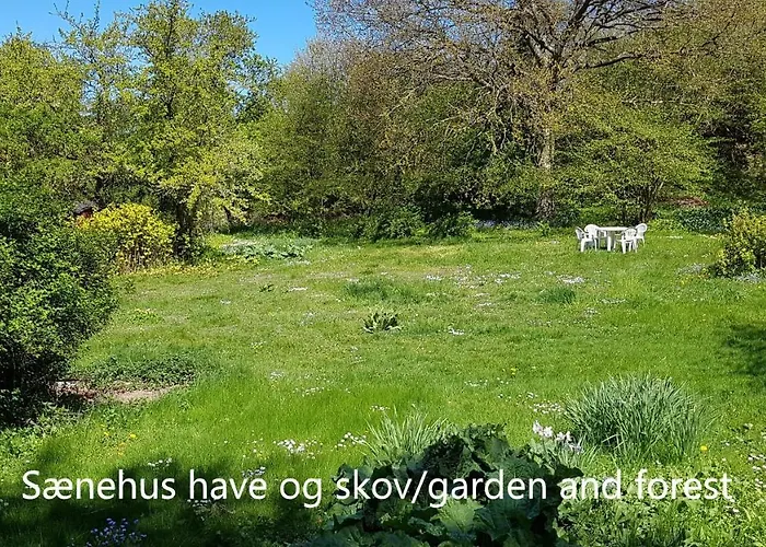 Saenehus Husmandssted *