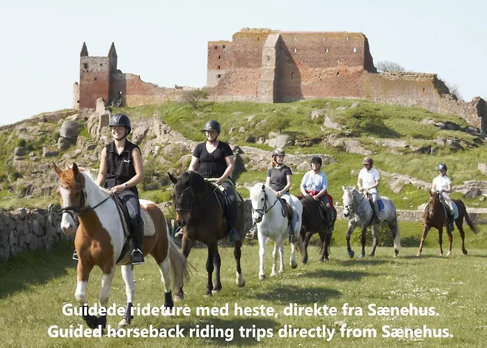Dom wakacyjny Saenehus Husmandssted *