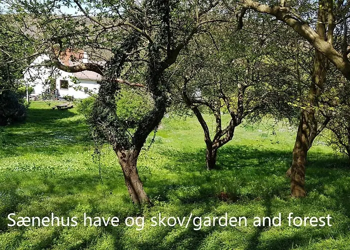 Saenehus Husmandssted Dom wakacyjny Allinge-Sandvig