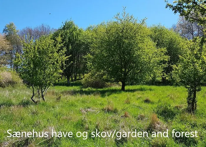 Dom wakacyjny Saenehus Husmandssted Allinge-Sandvig