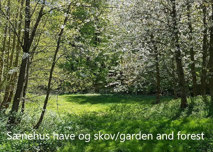 Saenehus Husmandssted Dom wakacyjny *