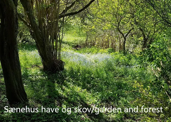 Saenehus Husmandssted Allinge-Sandvig
