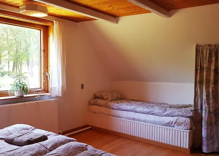 Dom wakacyjny Saenehus Husmandssted